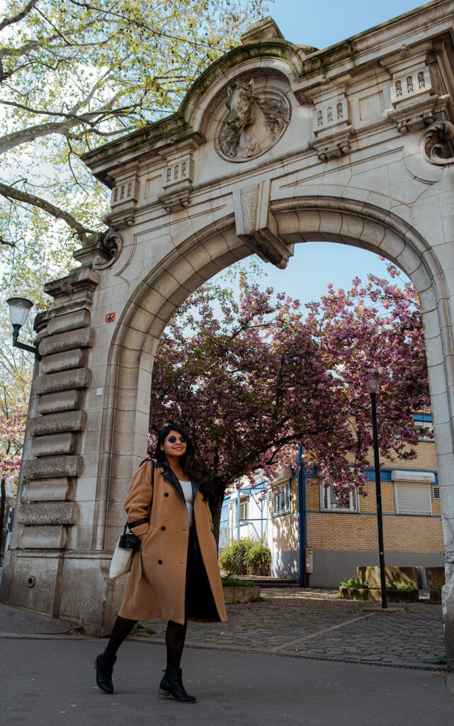 Cherry blossoms in Paris