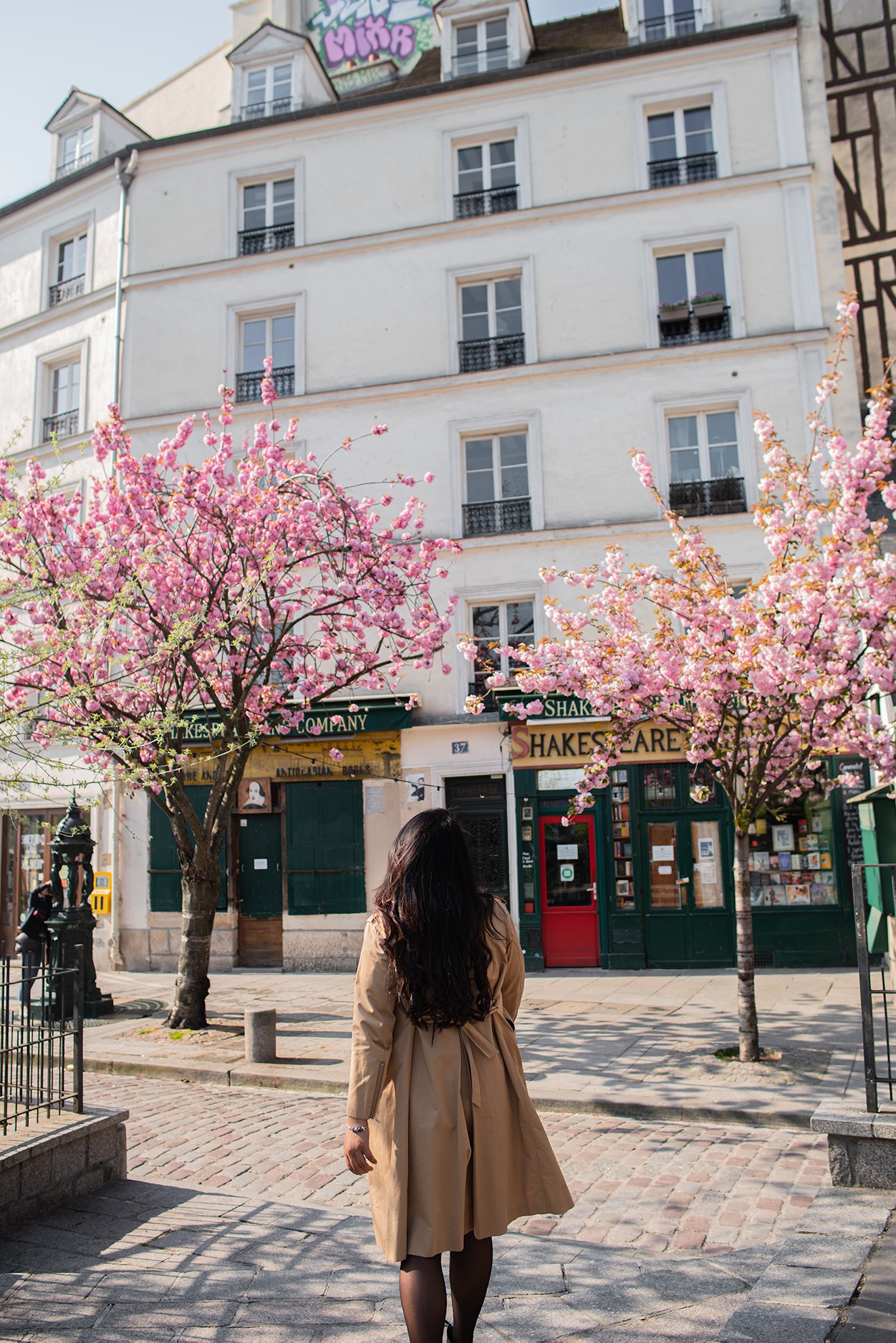 Cherry blossoms in Paris, primavera en Paris, spring in Paris, flores, flowers spots in Paris 