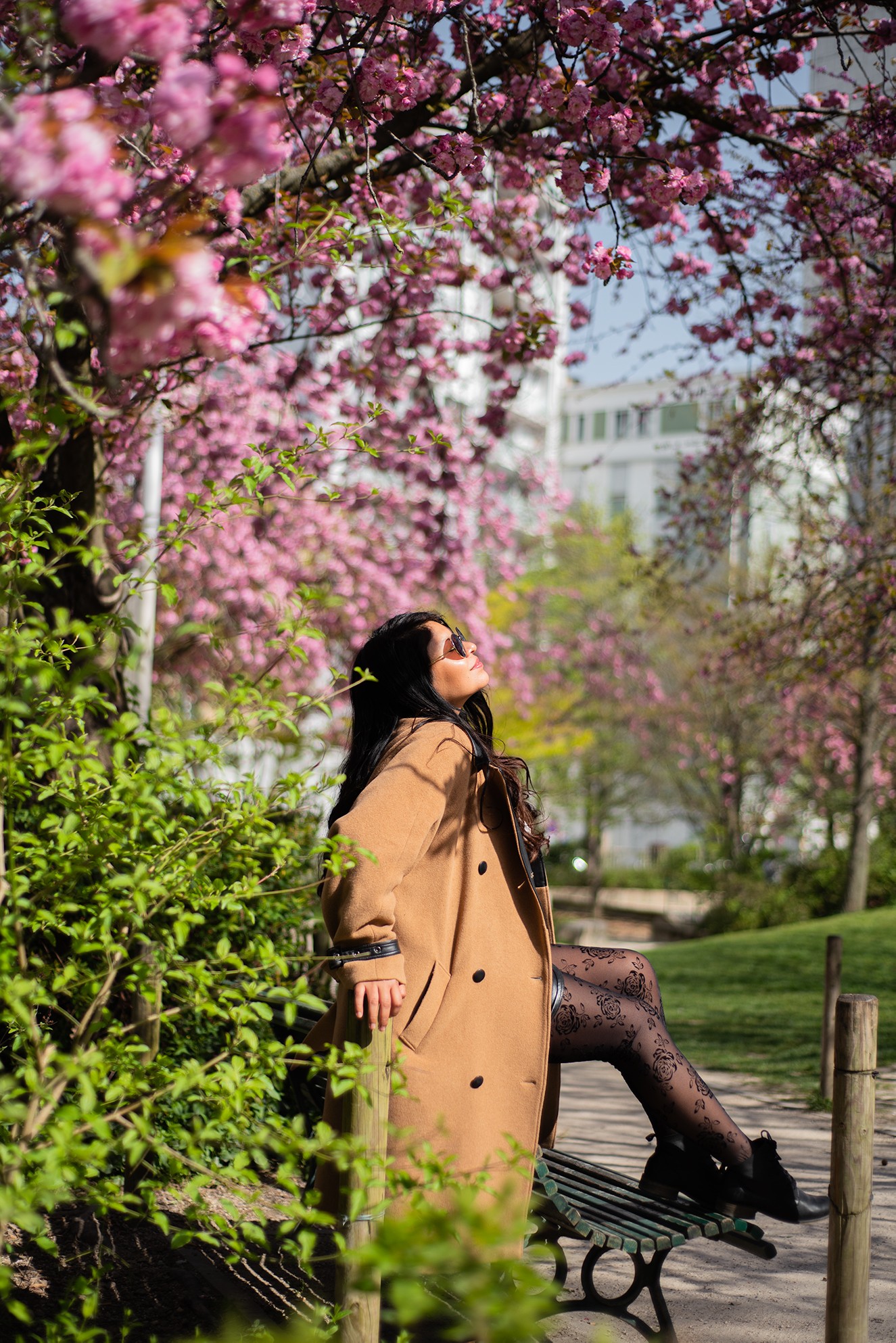 secret spot, cherry blossoms, Paris, 