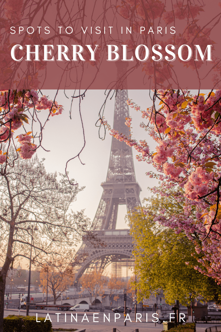 cherry blossom, Paris, primavera en Paris, Paris secreto