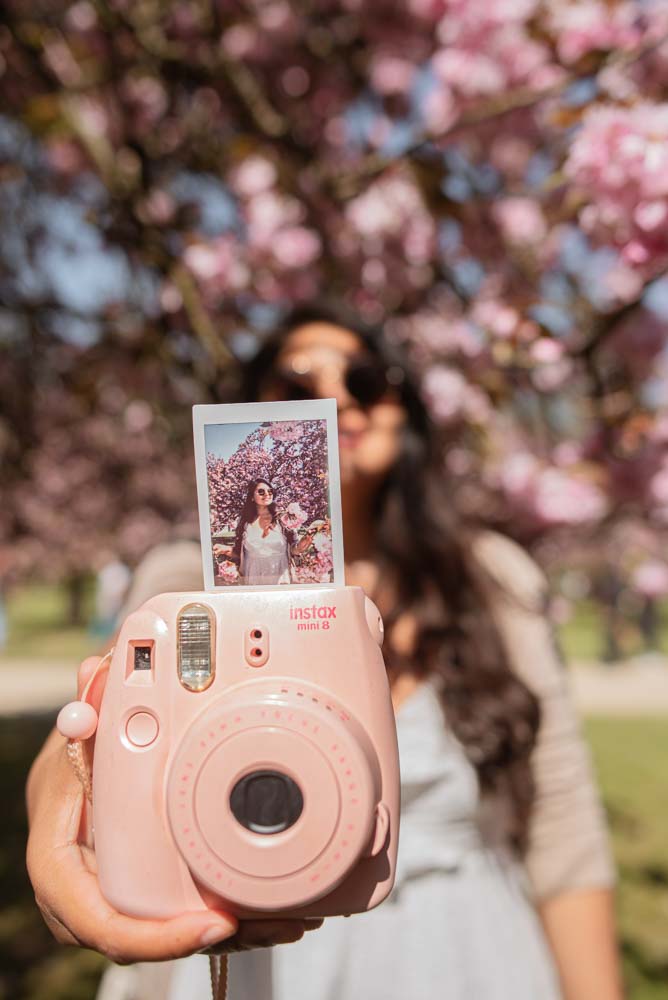 Cherry blossoms Paris