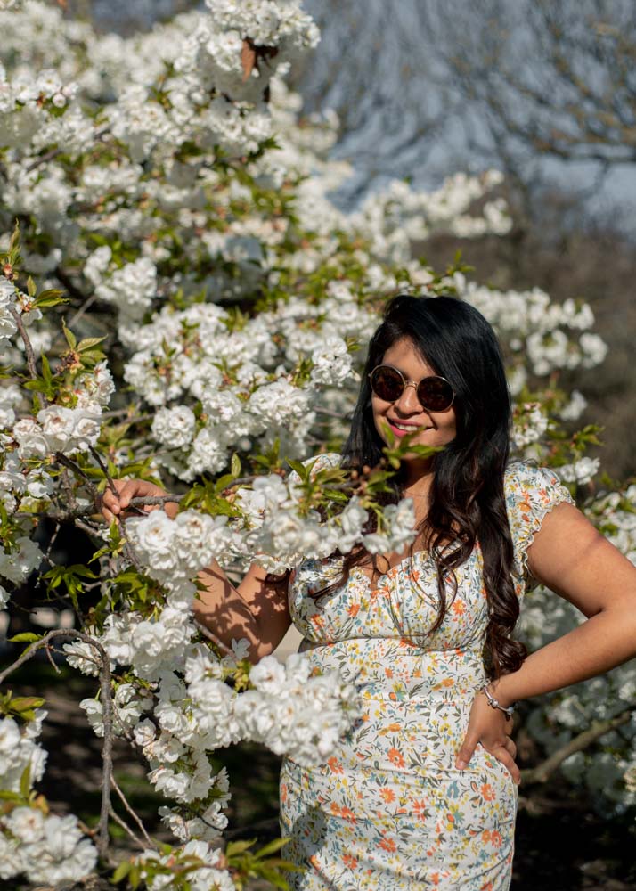 primavera en Paris, cherry blossoms, Paris