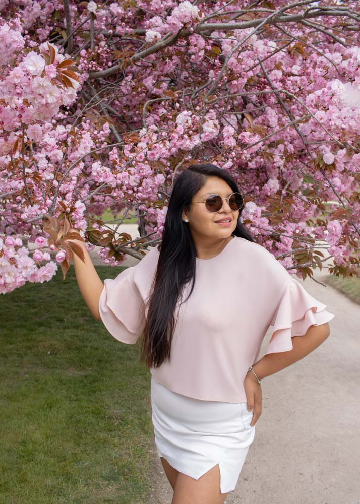 spring in Paris, cherry blossoms