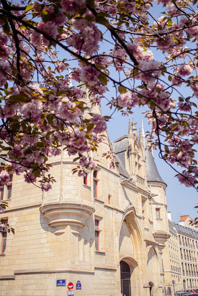 Cherry blossoms in Paris, Paris en primavera